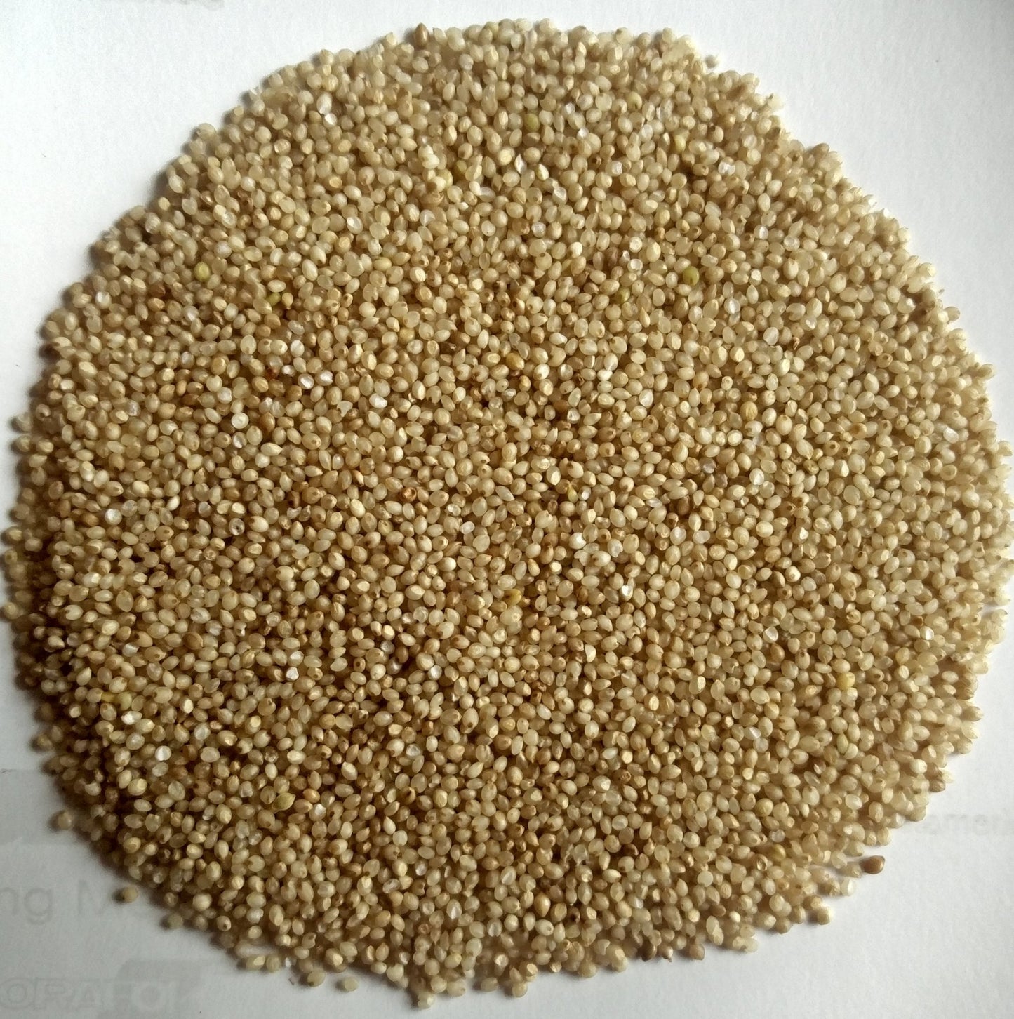 Arikelu - Kodo Millet