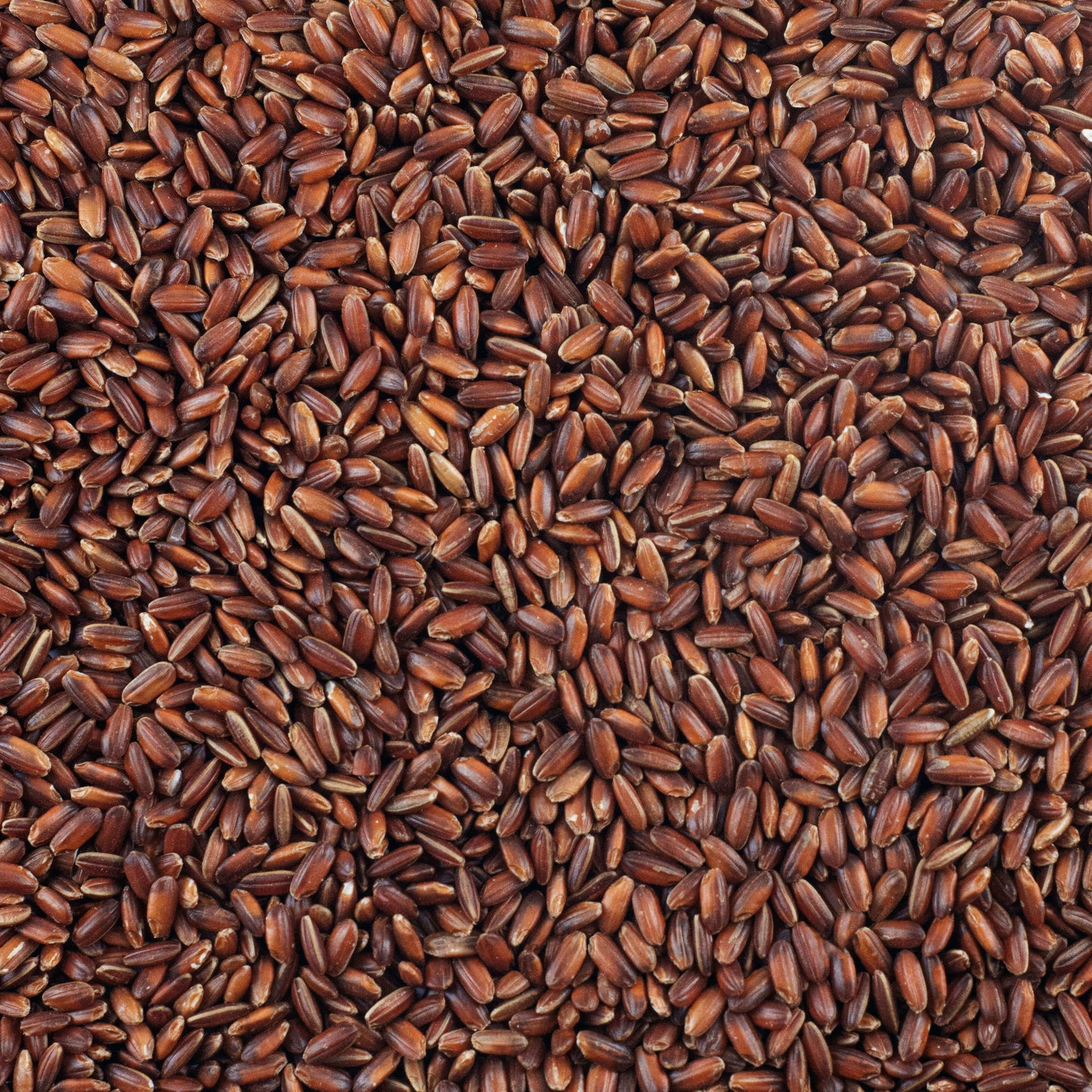 Desi Red Rice - Sathka