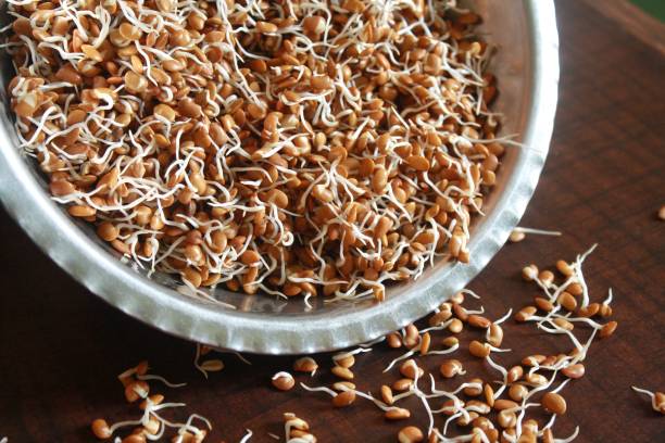 Ragi Malt Sprouted