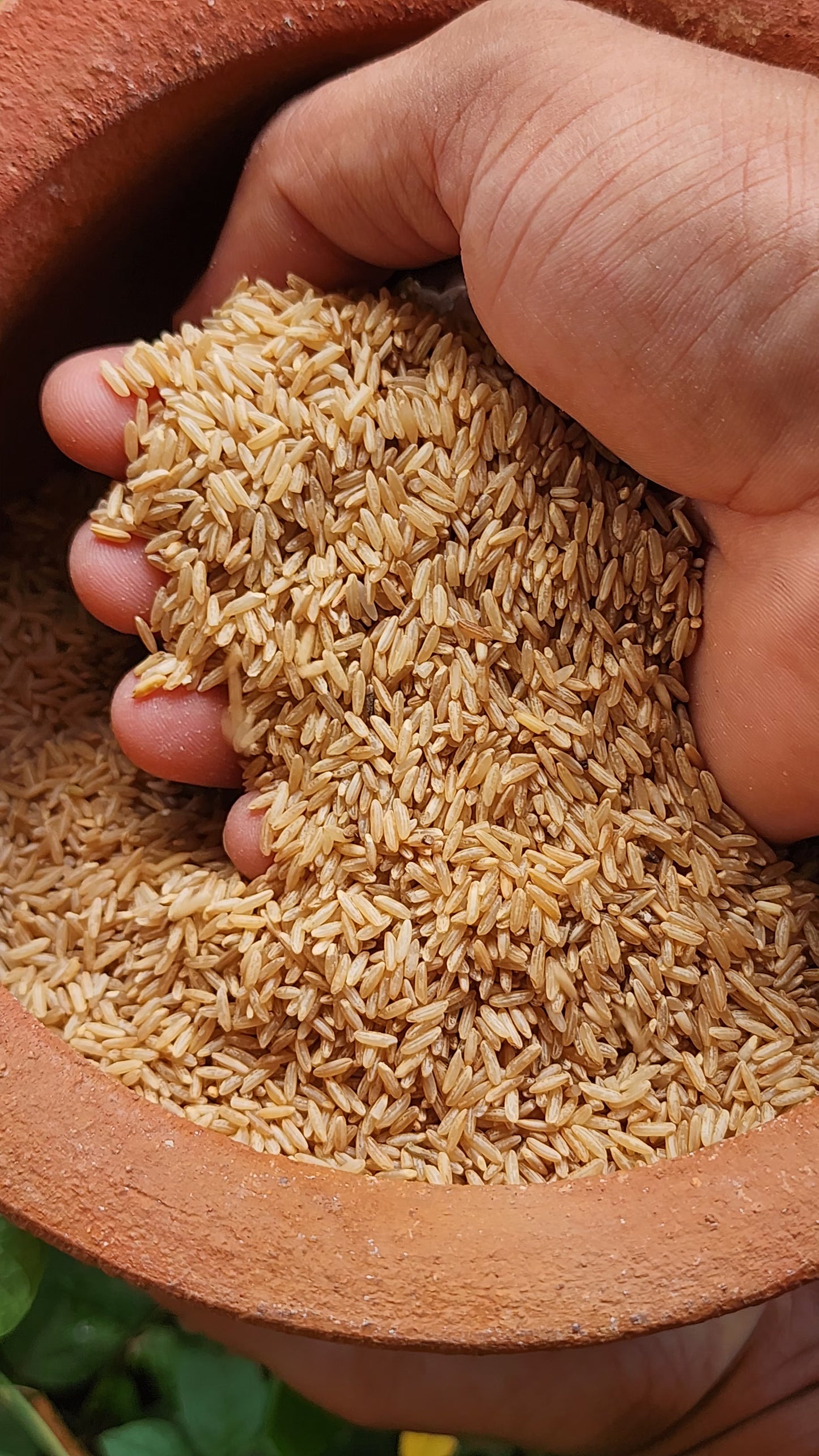 Sona Masuri Brown Rice – Unpolished