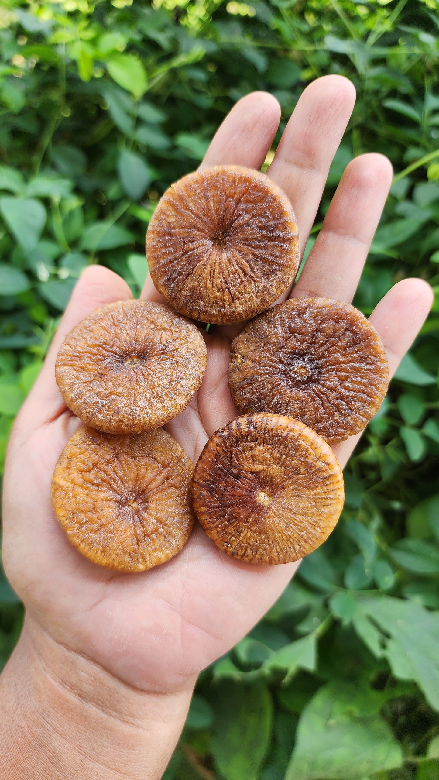 Dry Fig-Nutty