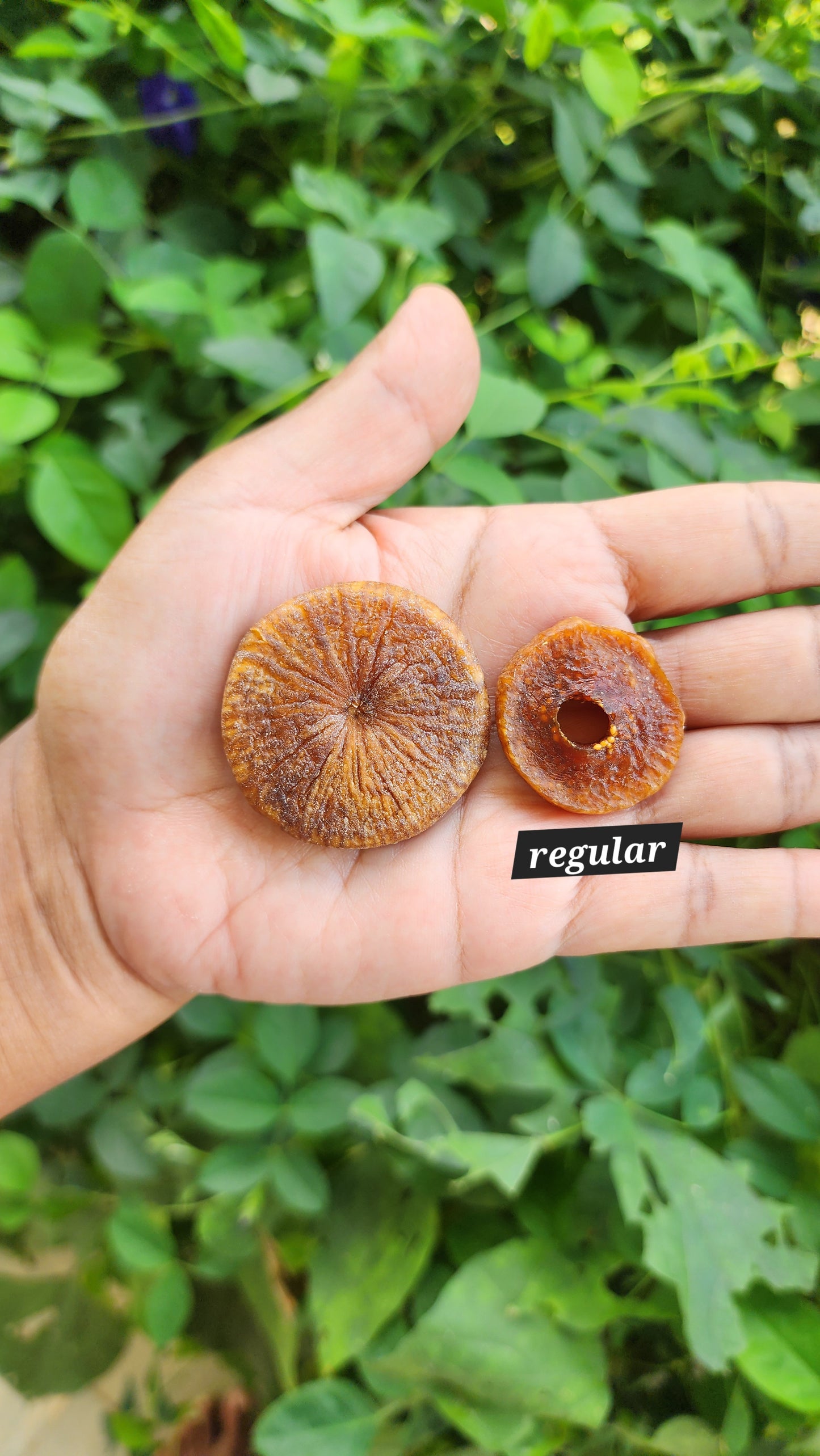 Dry Fig-Nutty