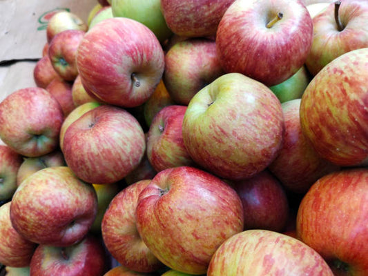 Apple Royal Delicious