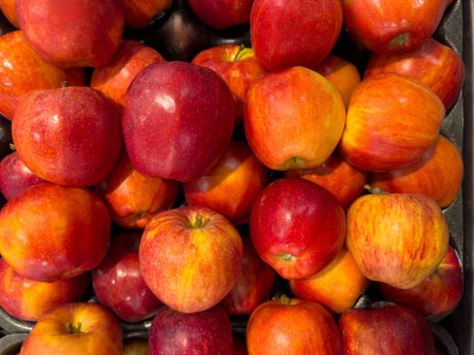 Apple Royal Gala