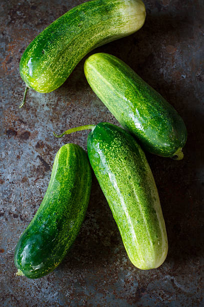 Salad Cucumber