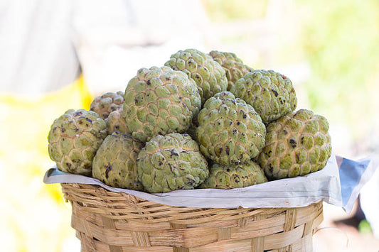 Native Custard Apple