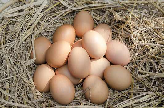 Naturally Raised Free Range Eggs