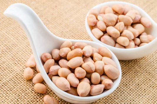 Groundnut