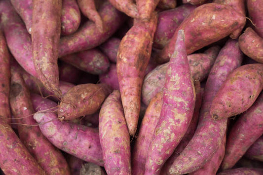 Sweet Potato
