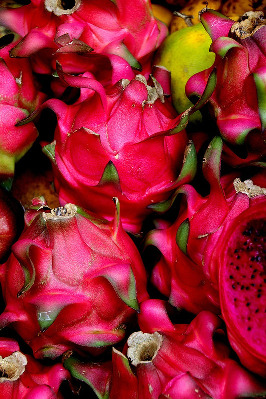 Dragon Fruit Pink