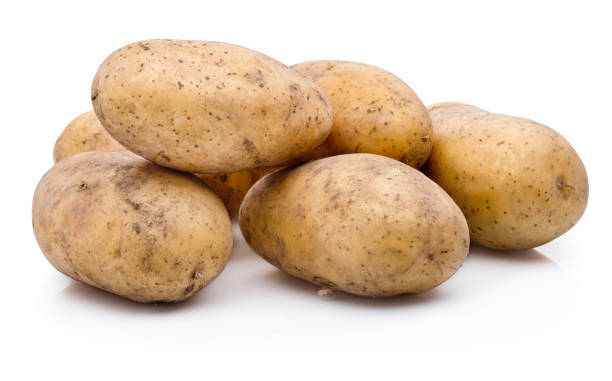 Potato