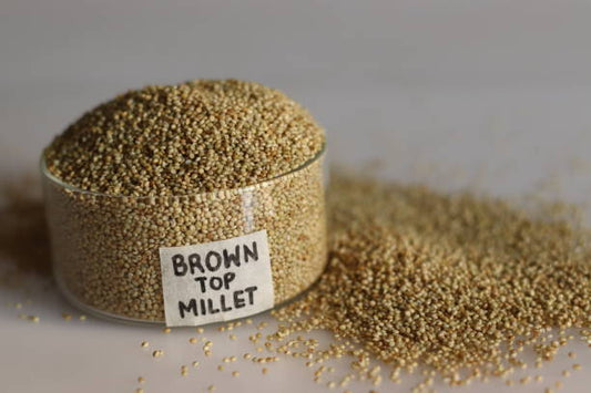 Andukorralu - Browntop Millet