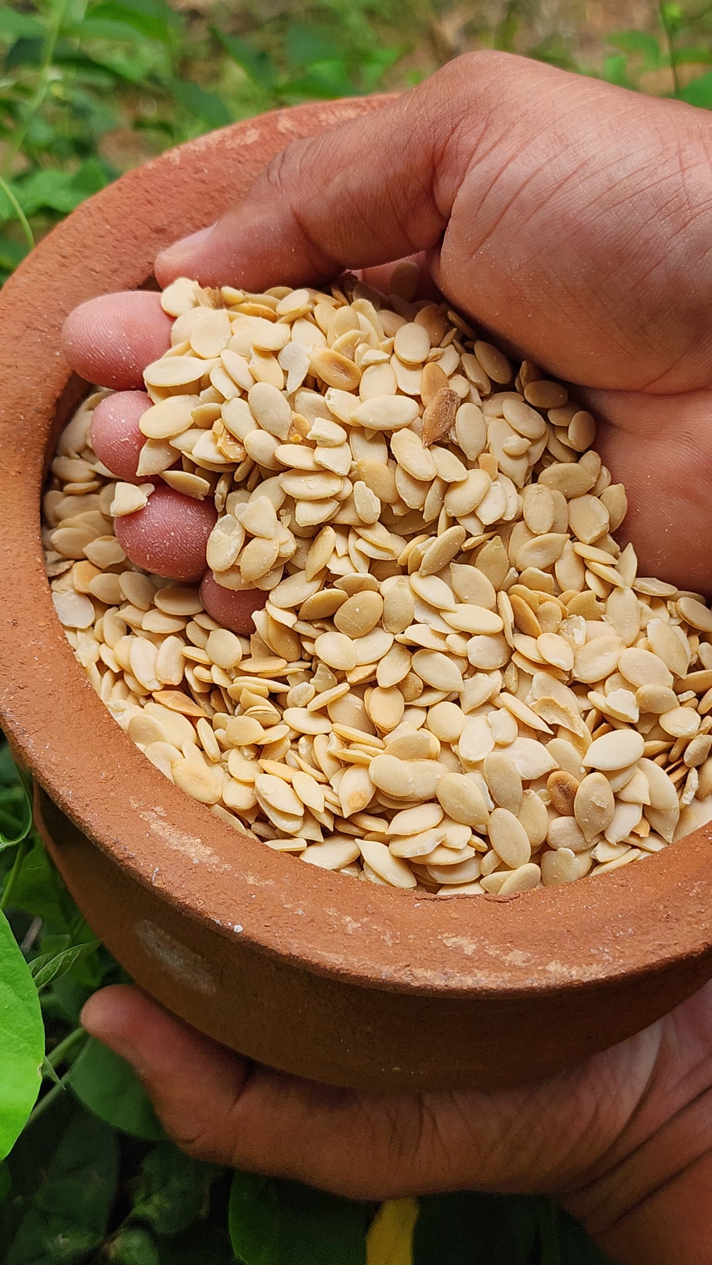 Roasted watermelon Seeds