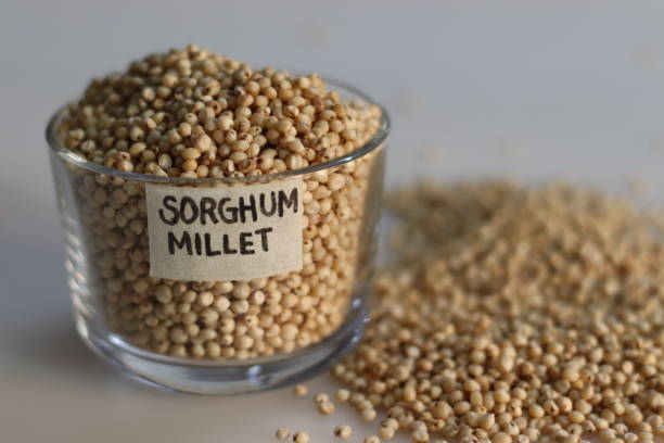 Jonnalu - Jowar White