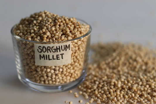 Jonnalu - Jowar White