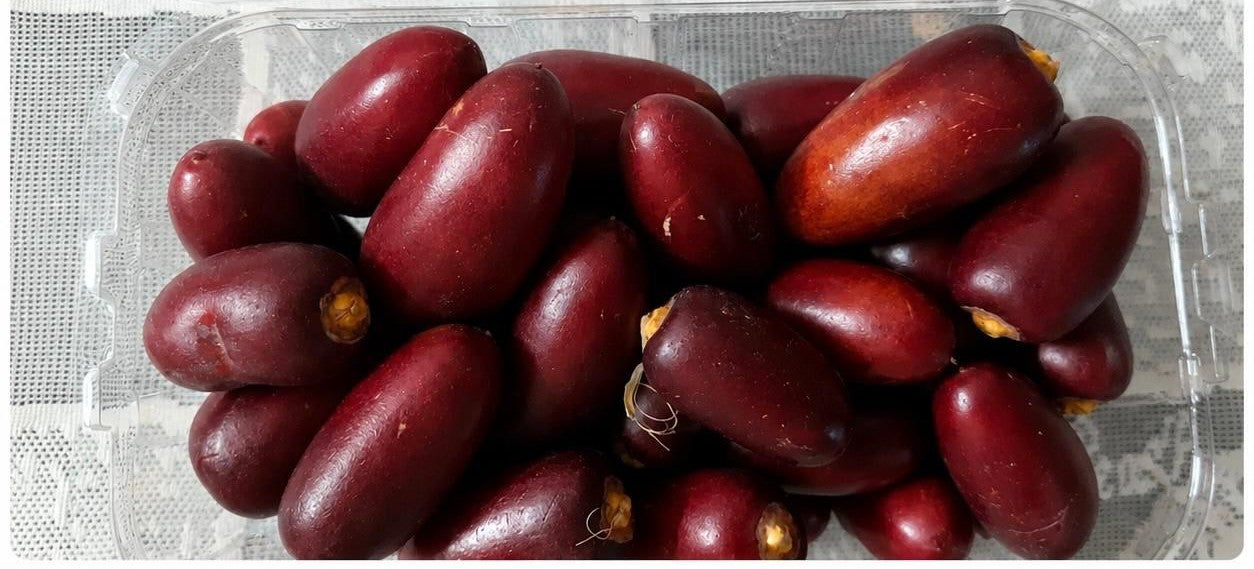 Fresh dates - Red