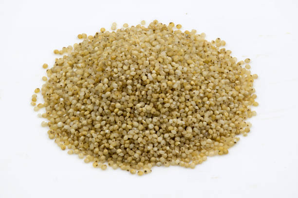 Udalu - Barnyard Millet