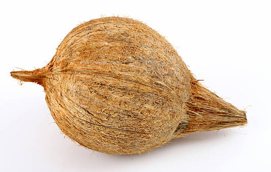 Coconut