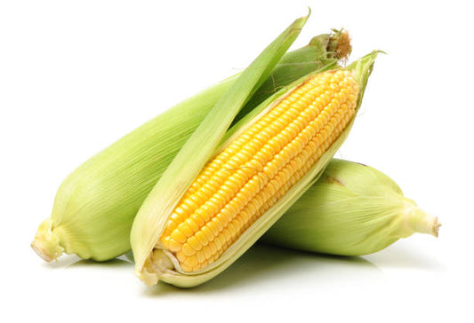 Sweet Corn
