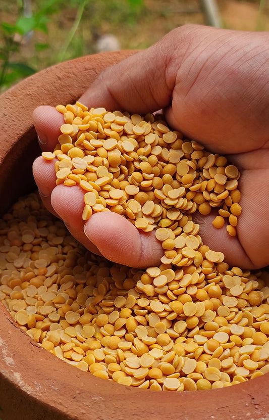 Toor Daal / Kandipappu