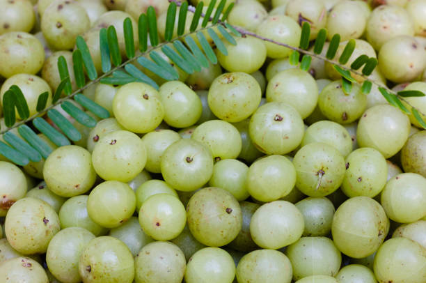 Amla