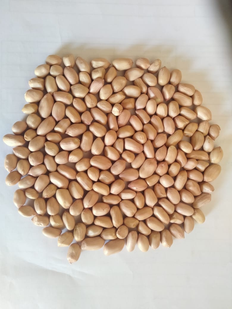 Handpicked Groundnut