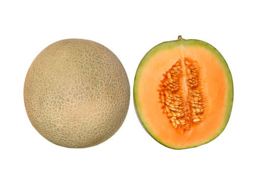 Musk Melon